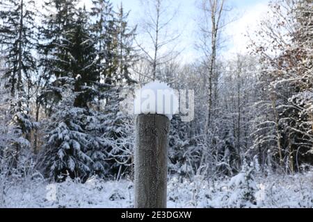 Weiße Schneekappen an den Zaunpfosten. Stockfoto