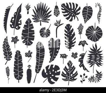 Dschungel hinterlässt Silhouetten. Exotische Palm, Banane und Monstera monochrome Blätter Vektor Illustration Set. Sommer tropische Blätter Silhouette Stock Vektor