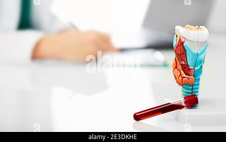 Anatomisches Schilddrüsenmodell und Schilddrüsenhormon-Blutteströhre auf dem Tisch des Endokrinologen, Nahaufnahme, weicher Fokus Stockfoto