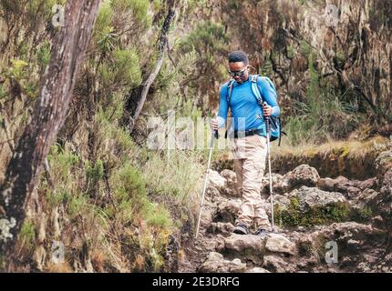 Afroamerikanische Ethnie junger Mann in Sonnenbrille mit Wanderstöcken bei einem Wanderspaziergang auf der Route mit Rucksack im Wald zum Mweka-Tor, Stockfoto