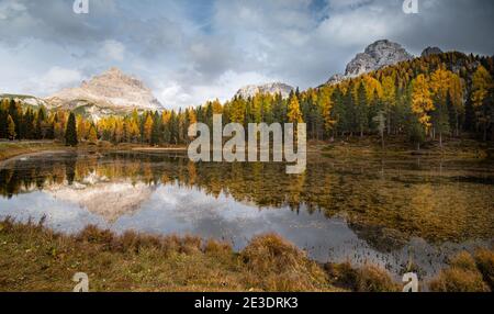 Der See Lago di antorno mit Tre cime di Lavadero Bergspiegelung im Herbst. Waldlandschaft Südtirol Italien Stockfoto