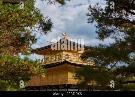 Kyoto, Japan - 12. November 2017: Kinkakuji-Tempel Golden Pavillion, Zen-buddhistischer Tempel in Kyoto, Japan, UNESCO-Weltkulturerbe Stockfoto