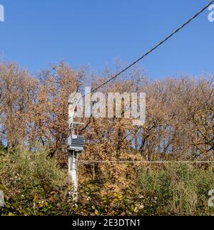 Hochspannungsmast in der Mitte der Bäume in einem Wald. Stockfoto