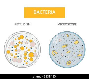 Doodle-Stil, handgezeichnete Zeichnung. Medizinisches Flachkonzept. Bunte Kolonien von Bakterien in einer Glas Petrischale und bunte gelbe Bakterien mit einem blauen nu Stock Vektor