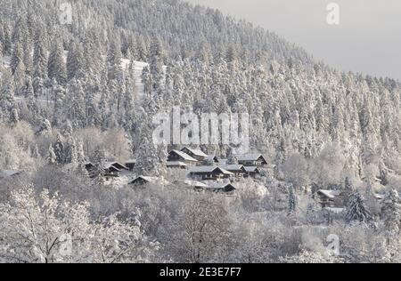 Schöne Häuser im Wald voll mit Schnee bedeckt Stockfoto