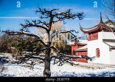 Montreal, Kanada - 5. Januar 2021: Pavillon im chinesischen Stil im Botanischen Garten von Montreal Stockfoto