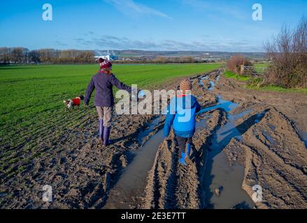 Mutter und Sohn gehen mit Hunden durch überflutet und schlammig Felder in Kent nach heftigem Regen im Januar Stockfoto