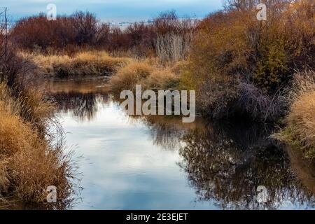 Donner und Blitzen River in Malheur National Wildlife Refuge, Frenchglen, Oregon, USA Stockfoto