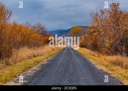 Centre Patrol Road in Malheur National Wildlife Refuge, Frenchglen, Oregon, USA Stockfoto