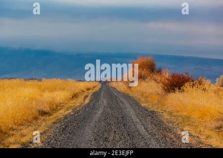 Centre Patrol Road in Malheur National Wildlife Refuge, Frenchglen, Oregon, USA Stockfoto