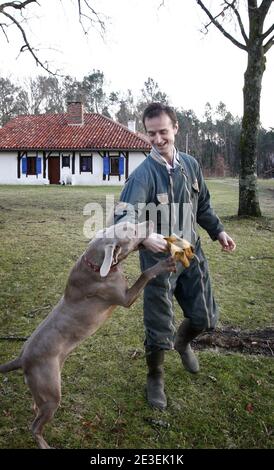 Jean Luc Blanc avec sa chienne dans son Exploitation situee a Brocas pres de Mont de Marsan dans les Landes, France le 29 Janvier 2009. Il est l'un des principaux sylviculteurs producteurs de Pins des Landes et du Sud ouest de la France et possede 400 Hektar d 'arbres. La tempete qui a ravage la Region lui a detruit pres de la moitie de ses 400 Hektar. Comme la plus part des exploitants Landais, il n'etait pas Assure et il faudra 10 ans avant que de nouveaux plants commencent a devenir des arbustes. Foto Patrick Bernard/ABACAPRESS.COM Stockfoto