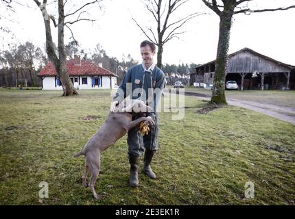 Jean Luc Blanc avec sa chienne dans son Exploitation situee a Brocas pres de Mont de Marsan dans les Landes, France le 29 Janvier 2009. Il est l'un des principaux sylviculteurs producteurs de Pins des Landes et du Sud ouest de la France et possede 400 Hektar d 'arbres. La tempete qui a ravage la Region lui a detruit pres de la moitie de ses 400 Hektar. Comme la plus part des exploitants Landais, il n'etait pas Assure et il faudra 10 ans avant que de nouveaux plants commencent a devenir des arbustes. Foto Patrick Bernard/ABACAPRESS.COM Stockfoto