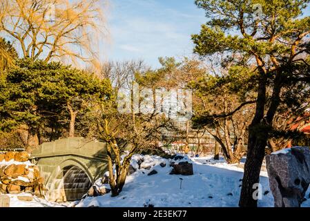 Montreal, Kanada - 5. Januar 2021: Chinesischer Garten im Botanischen Garten von Montreal Stockfoto