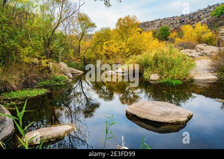Ein schneller, flacher, sauberer Bach fließt zwischen glatten nassen großen Steinen, umgeben von hohen trockenen Klumpen, die im Wind im malerischen Ukraine schwanken Stockfoto