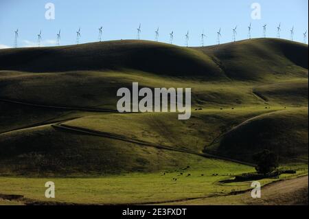 Blick auf das Shiloh II Windprojekt in Rio Vista, Kalifornien, USA am 9. Januar 2009. Das Windkraftwerk Shiloh ist ein Windpark, der mittlerweile Hunderte von Windenergieanlagen umfasst. Foto von Lionel Hahn/ABACAPRESS.COM Stockfoto