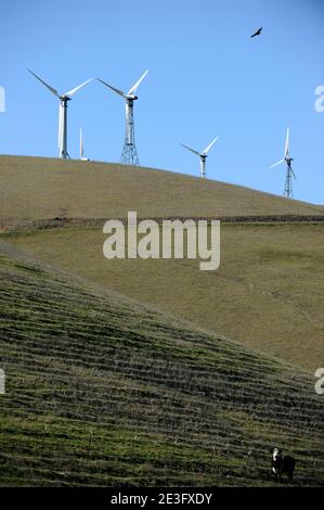 Blick auf das Shiloh II Windprojekt in Rio Vista, Kalifornien, USA am 9. Januar 2009. Das Windkraftwerk Shiloh ist ein Windpark, der mittlerweile Hunderte von Windenergieanlagen umfasst. Foto von Lionel Hahn/ABACAPRESS.COM Stockfoto