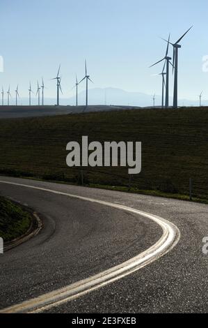 Blick auf das Shiloh II Windprojekt in Rio Vista, Kalifornien, USA am 9. Januar 2009. Das Windkraftwerk Shiloh ist ein Windpark, der mittlerweile Hunderte von Windenergieanlagen umfasst. Foto von Lionel Hahn/ABACAPRESS.COM Stockfoto