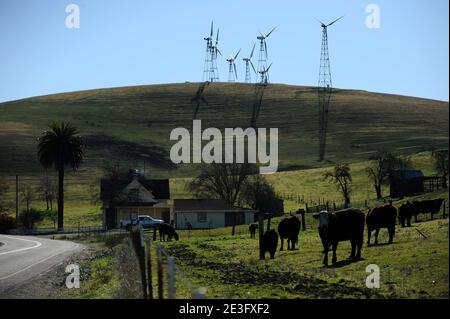 Blick auf das Shiloh II Windprojekt in Rio Vista, Kalifornien, USA am 9. Januar 2009. Das Windkraftwerk Shiloh ist ein Windpark, der mittlerweile Hunderte von Windenergieanlagen umfasst. Foto von Lionel Hahn/ABACAPRESS.COM Stockfoto