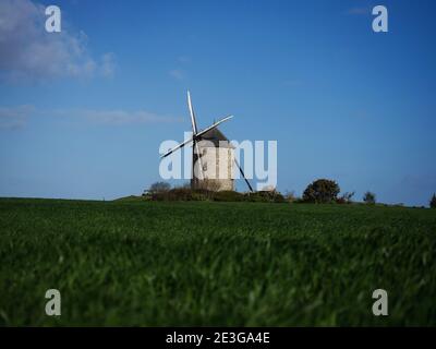 Panoramablick auf alte rustikale historische Windmühle Moulin de Moidrey Im grünen Gras Feld Wiese Pontorson Normandie Frankreich Europa Stockfoto