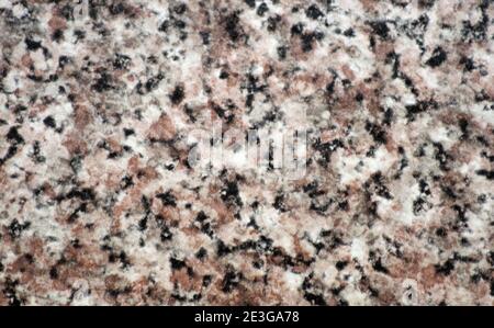 Nahaufnahme von grauem Granit mit schwarzen, weißen und orangefarbenen Flecken. Hintergrund, Textur. Stockfoto