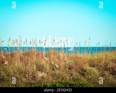 Ein beruhigender Blick durch die Seegräser auf den Dünen mit Blick auf den Atlantik vom Fernandina Beach, auf Amelia Island, FL, USA Stockfoto