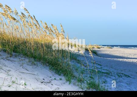 Ein ruhiger Blick auf das Seegras, das die Dünen im Vordergrund mit einem fernen Atlantischen Ozean am Fernandina Strand bedeckt, auf Amelia Island, FL Stockfoto