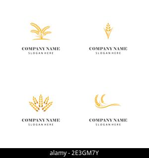 Legen Sie die Symbolart der Wheat Logo-Vorlage für Vektorsymbole fest Stock Vektor