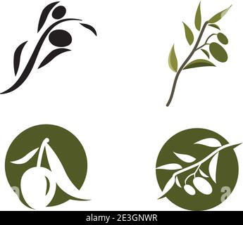 Designvorlage für olivgrüne Symbolvektoren festlegen Stock Vektor