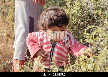 Ein schönes Kind kleinen indischen Ursprungs brechen Jujube Frucht im Wald mit Büschen, indien Stockfoto