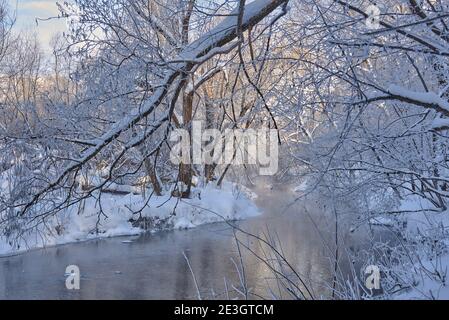 Winter frostige Landschaft. An einem klaren Wintertag fließt ein kleiner Fluss zwischen schneebedeckten Bäumen. Stockfoto