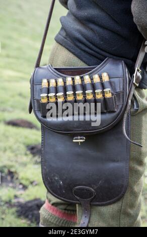 Shotgun Shells in einem Lader Ledertasche auf einem Fasanenschießen in der ländlichen Oxfordshire Landschaft. Stockfoto