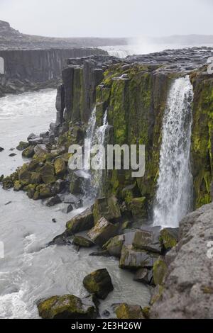 Selfoss, Wasserfall auf Insel, Wasserfall des Flusses Jökulsá á Fjöllum Gletscherfluß, Gletscherfluss, Jökulsárgljúfur-Nationalpark, Schlucht Jökulsá Stockfoto