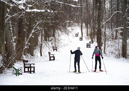 Freunde Skifahrer nordic Langlaufen auf einer Piste in schönen Winter Wunderland Landschaft im Winter in einem Park, Outdoor-Sport, gesunde Lebensweise Stockfoto
