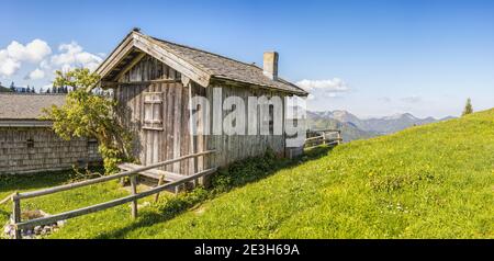 Haus im Garten unter blauem Himmel Stockfoto