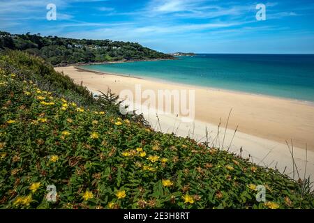 Carbis Bay und St Ives, Cornwall Stockfoto