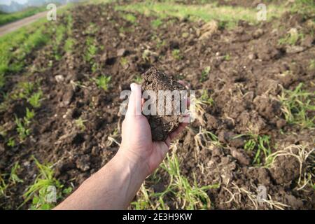 Wachstum und Landwirtschaft Konzept EINE Hand hält einen Klumpen von Erde Stockfoto