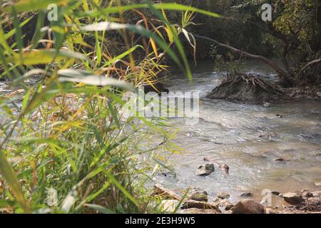 Abseits der ausgetretenen Pfade in Israel EIN natürlicher Weg weiter Die Ufer des Flusses Yarkon Stockfoto