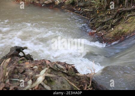 Abseits der ausgetretenen Pfade in Israel EIN natürlicher Weg weiter Die Ufer des Flusses Yarkon Stockfoto
