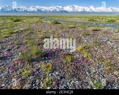 Peak PIK Lenin oder Kulai abu-ali ibn Sino und PIK Dserschinski. ALAJ-Tal vor dem Trans-Allay-Gebirge im Pamir-Gebirge. Asien Stockfoto