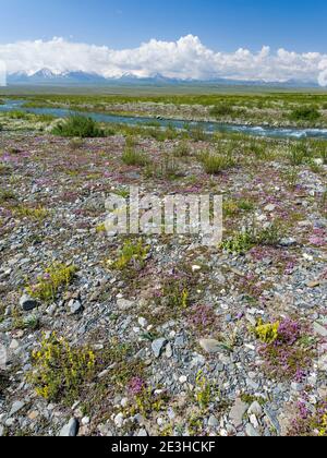 Peak PIK Lenin oder Kulai abu-ali ibn Sino und PIK Dserschinski. ALAJ-Tal vor dem Trans-Allay-Gebirge im Pamir-Gebirge. Asien Stockfoto