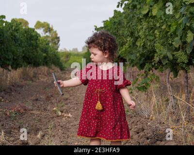 Kleinkind Mädchen spielt im Freien in Zitrusbaum Obstgarten Stockfoto