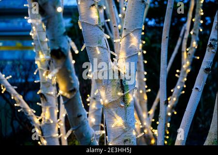 Weihnachten bei MediaCityUK, Salford Quays, Salford, Manchester Stockfoto