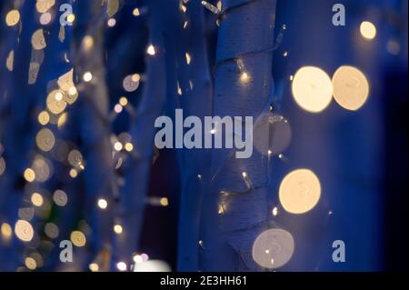 Weihnachten bei MediaCityUK, Salford Quays, Salford, Manchester Stockfoto