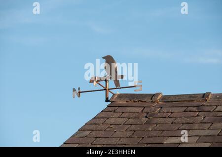 Rund um das Vereinigte Königreich - Magpie Weather Vane Stockfoto