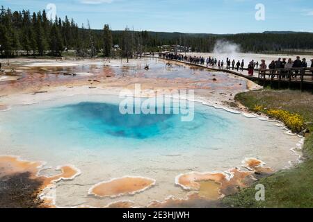 Silex Hot Spring, Yellowstone National Park, Wyoming USA. Stockfoto