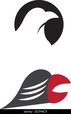 Falcon Eagle birdWave Logo Vorlage Vektor Symbol Natur Stock Vektor