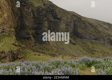 Landschaft des Landmannalaugar Nationalparks in Island Stockfoto