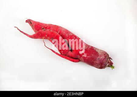 Lustige rohe rote Rettich liegt auf einem weißen Hintergrund. Gesunde Ernährung Konzept Stockfoto