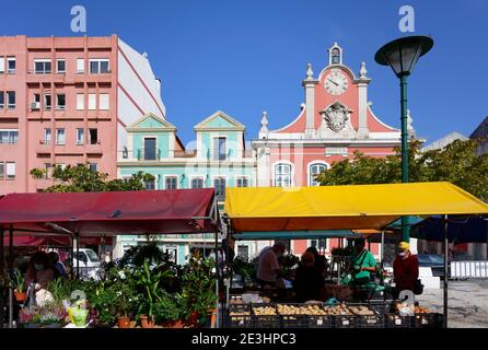 Obst- und Gemüsestände auf dem täglichen Bauernmarkt, ehemaliges Rathaus dahinter, Platz der Republik, Caldas da Rainha, Estremadura, Portugal Stockfoto