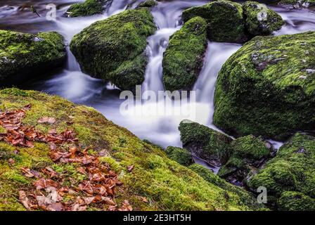 Idyllischer Bach im Wald mit großem Moosstein Stockfoto